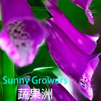 Sunny Growers