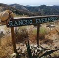 Rancho Everfree / Mariposa Holidays - Riding